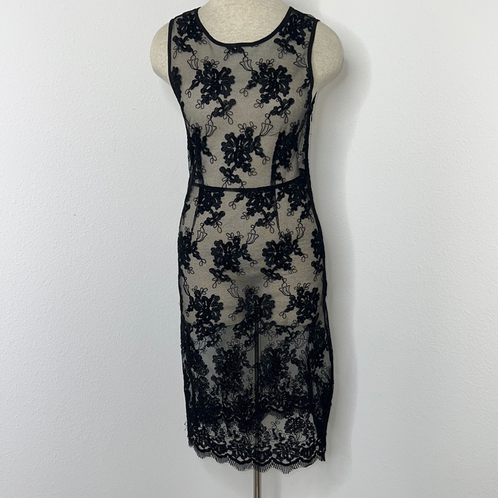 Love X Fashion X Art Sheer Lace Dress
